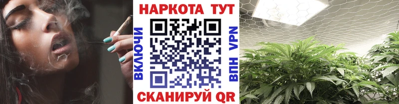Все наркотики Облучье Альфа ПВП Мефедрон ГАШ