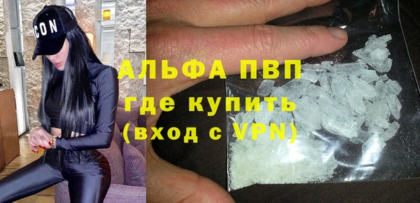 сатива Белоозёрский