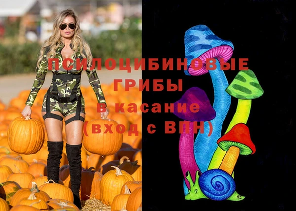 jwh Белокуриха