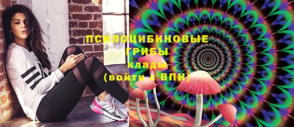 сатива Белоозёрский