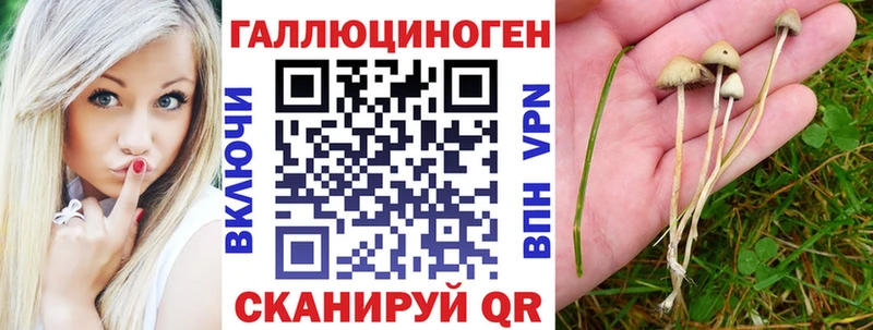 Псилоцибиновые грибы мухоморы Облучье